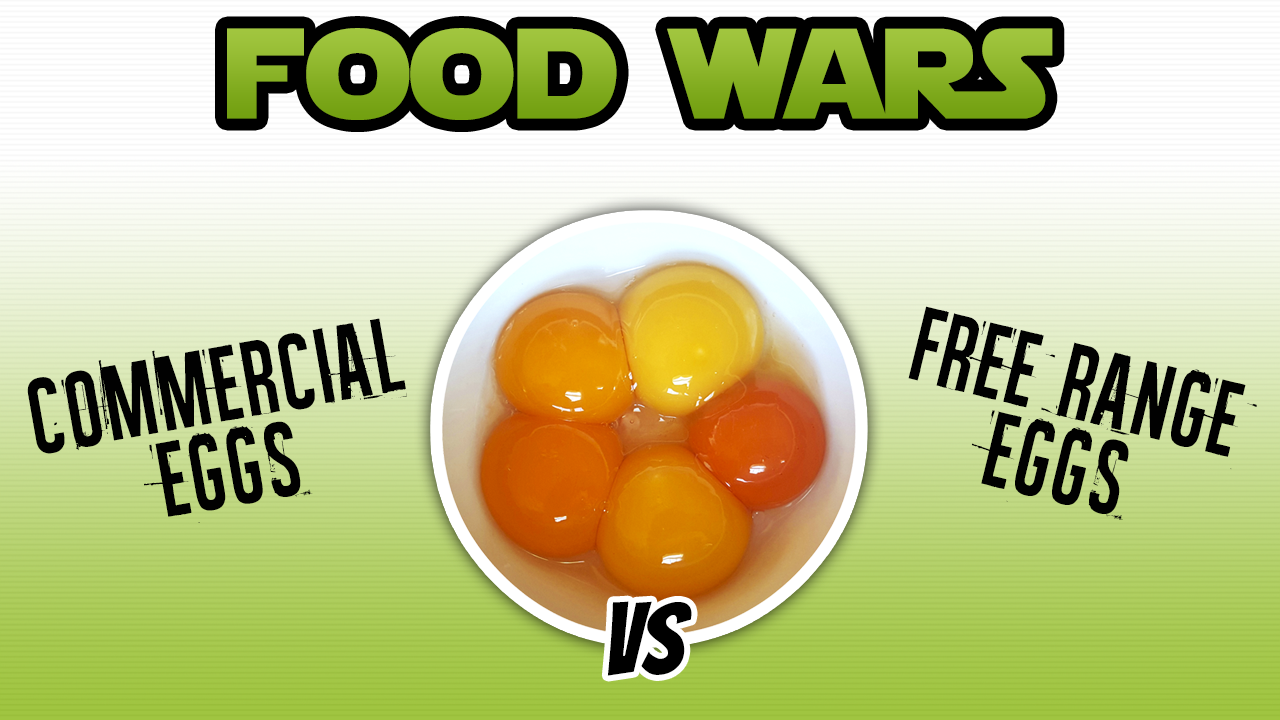 Conventional Eggs vs Free Range Eggs