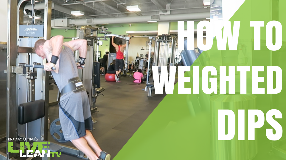 How To Do Weighted Parallel Bar Dips Exercise Video and Guide Live