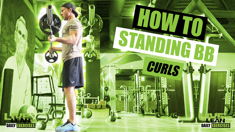How To Do STANDING BARBELL CURLS Exercise Demonstration Video and
