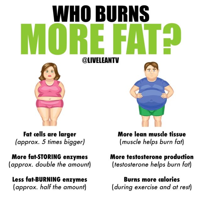 Who Burns Fat Easier Men or Women?