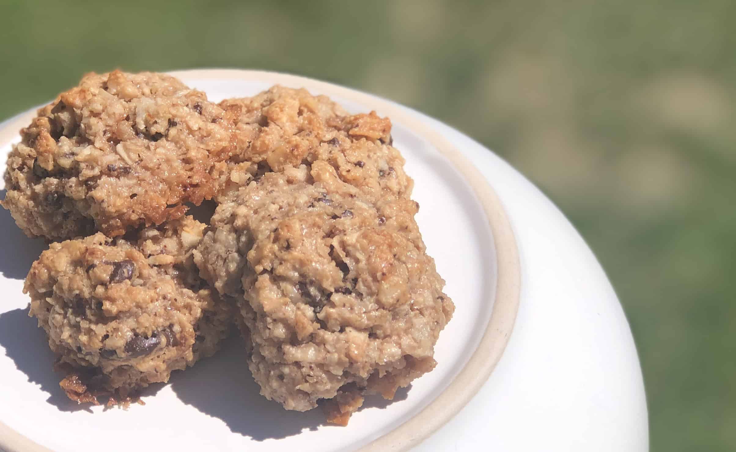 Chocolate Coconut Macaroons Chocolate Coconut Macaroons